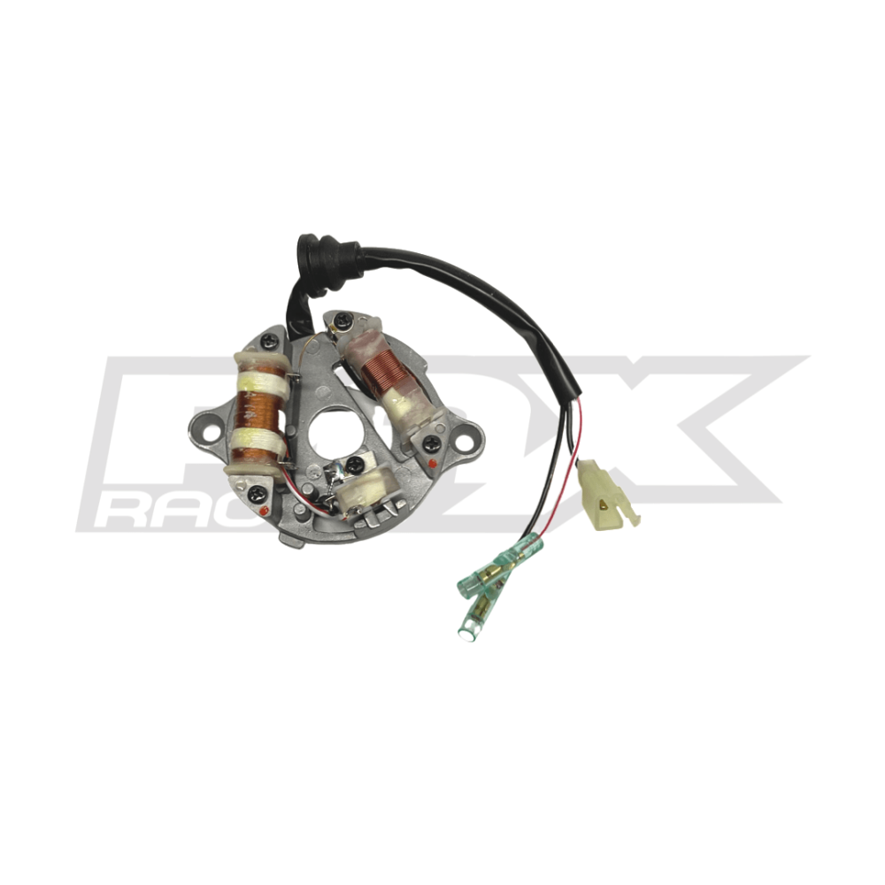 PAX Racing Adjustable Ignition Timing