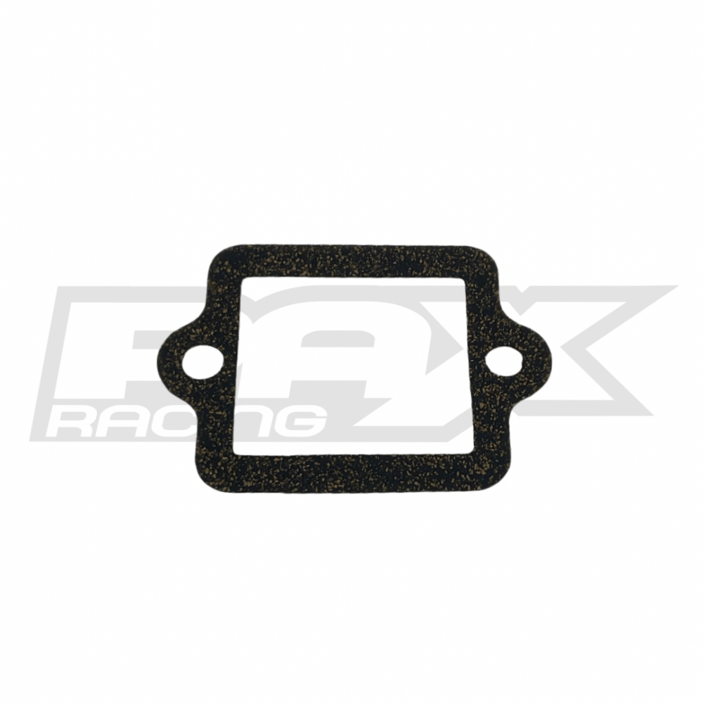 Cobra 50 Intake Gasket / Reeds