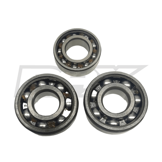 PAX Racing 65cc AMA Motor Bearing Kit