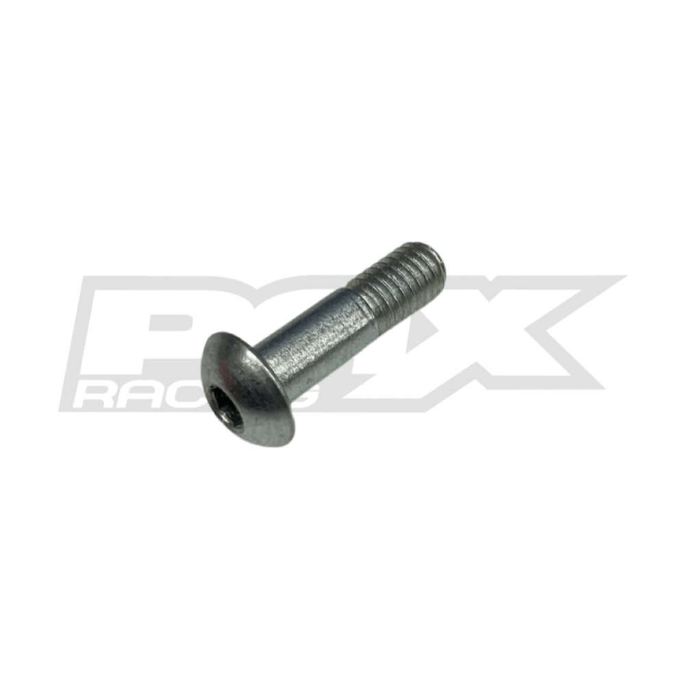 E-Bike / 50cc Front Brake Lever Screw 2009+