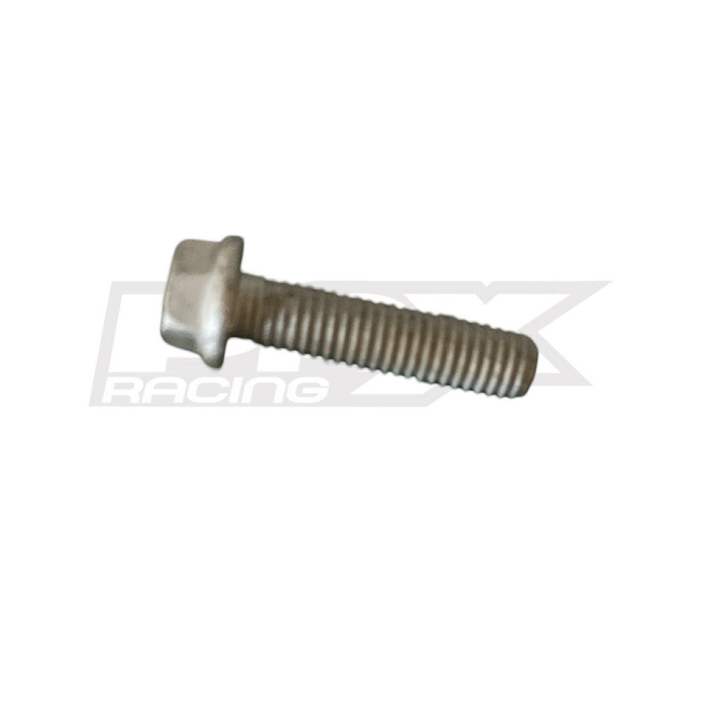 HH Collar Screw M6x25 TX30
