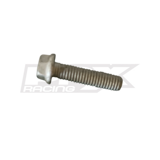 HH Collar Screw M6x25 TX30