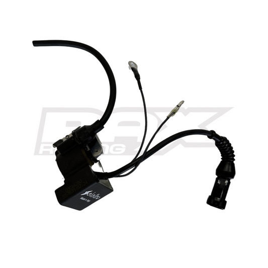 2024 IGNITION COIL