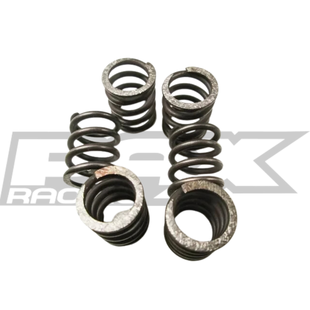65CC CLUTCH SPRING KIT 2023 & OLDER
