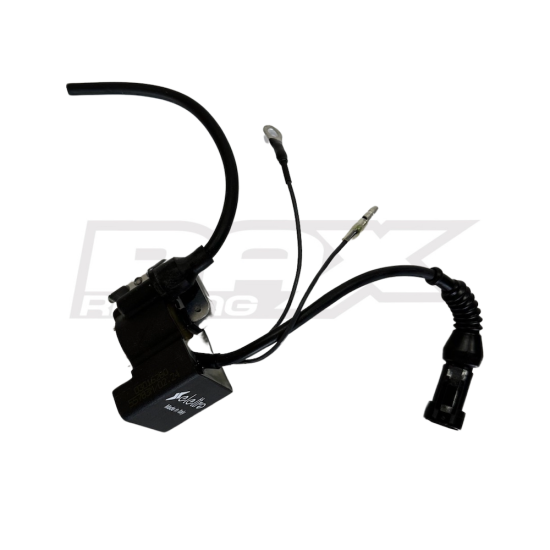 2024 Ignition Coil