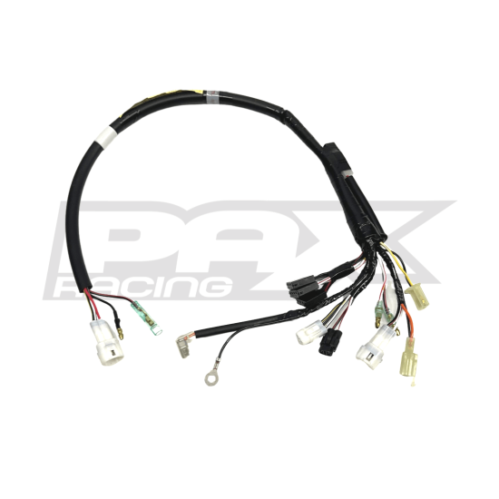 PW50 Wire Harness Assembly