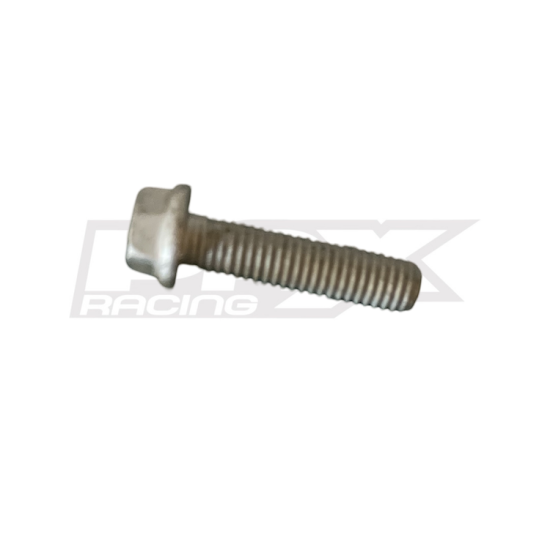 HH Collar Screw M6x25 TX30 